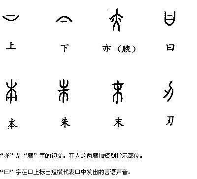 指事字大全|「指事」汉字大全